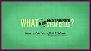 StemCellShorts: What are induced pluripotent stem cells?