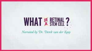 StemCellShorts: What is a retinal stem cell?