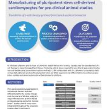 Manufacturing of Pluripotent Stem Cell-Derived Cardiomyocytes for Pre-Clinical Animal Studies