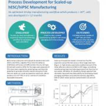 Process Development for Scaled-up hESC/hiPSC Manufacturing